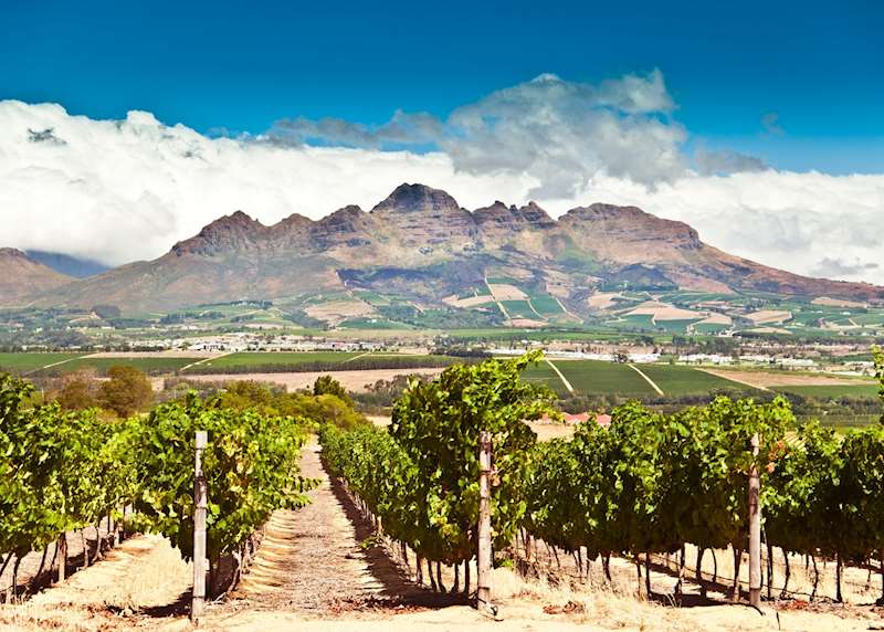 Wine regions of South Africa