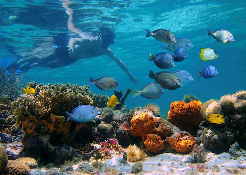 Family vacations in Panama