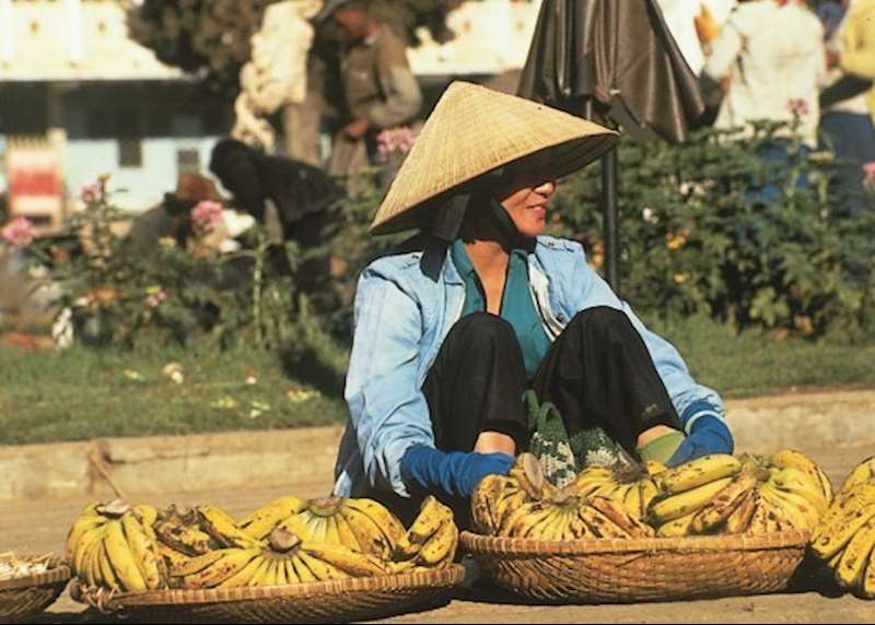 What to do in Vietnam: our highlights guide