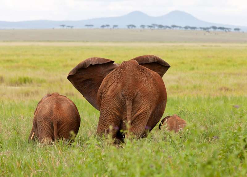 Tanzania safaris: north vs south