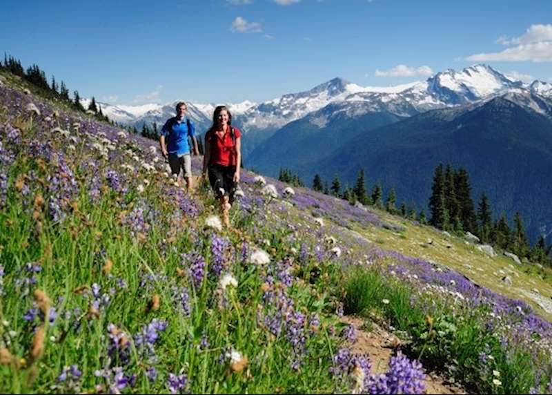 Walking holidays in Canada