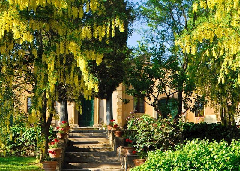 Il Falconiere, Cortona