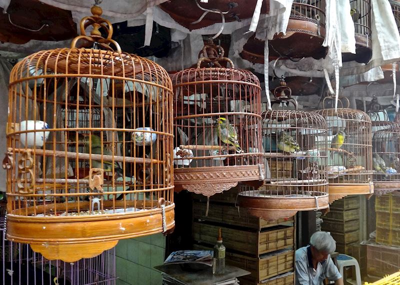Bird Market on Kowloon Island