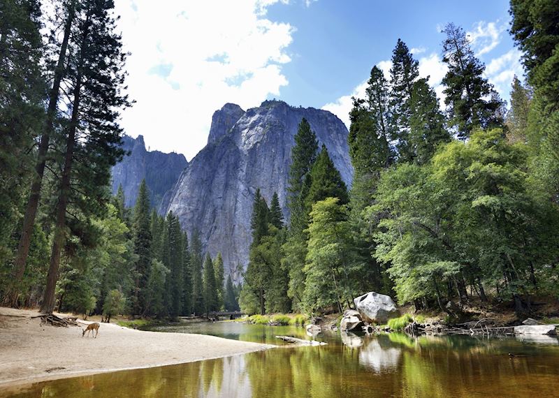 Yosemite National Park, Yosemite National Park