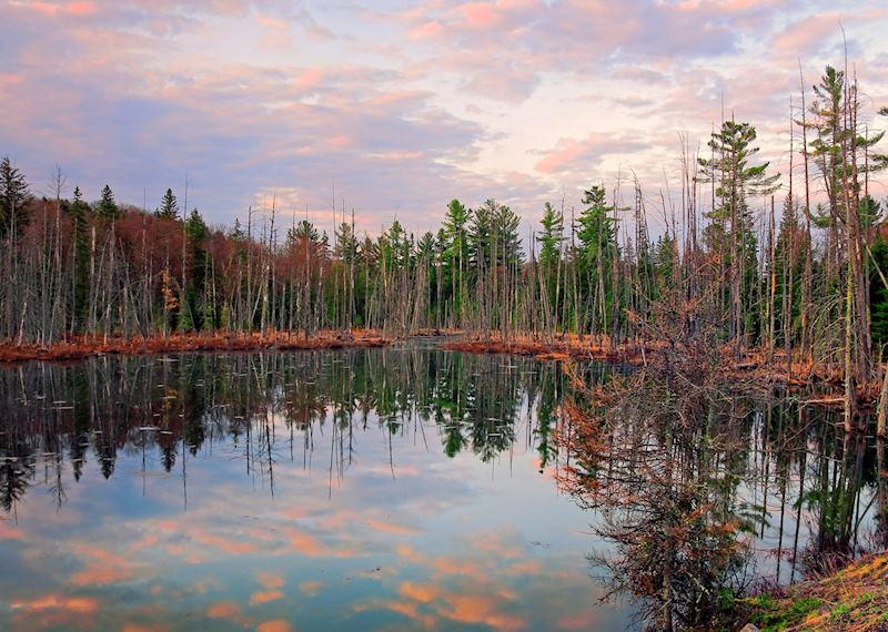 Algonquin Provincial Park, Ontario