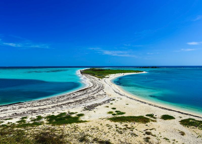 Bush Key, Dry Tortugas