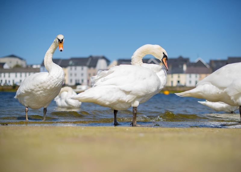 Galway waterfront