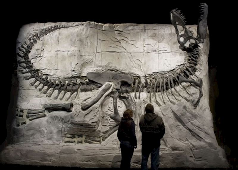 Royal Tyrell Museum, Drumheller
