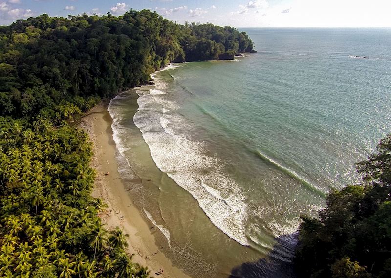 Cristal Ballena, Dominical