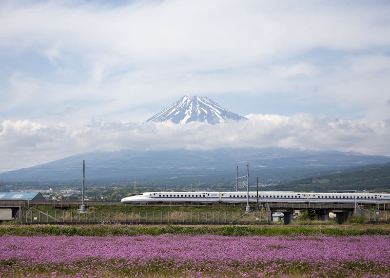 Bullet train passing by Mount Fuji