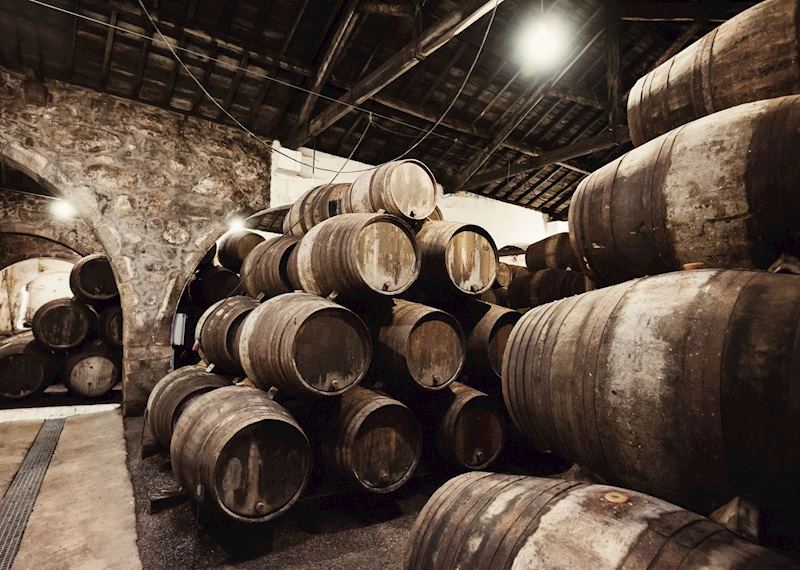Wine barrels, Douro Valley