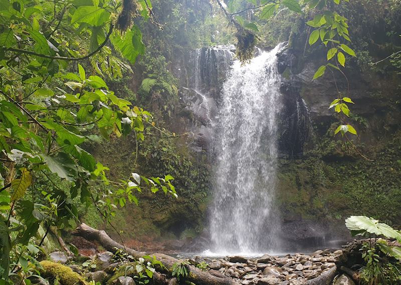 Waterfall in Boquete, Panama