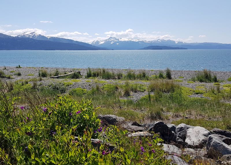 Scenery around Homer