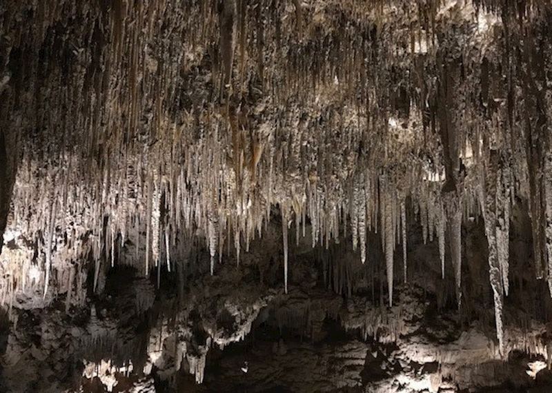 Ngilgi Cave Cultural Tour