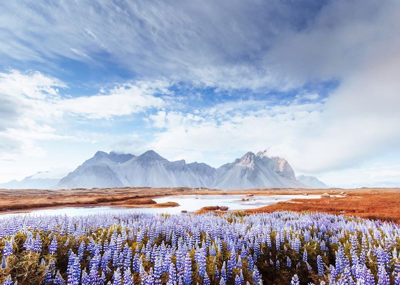 Stokksnes, South East Iceland