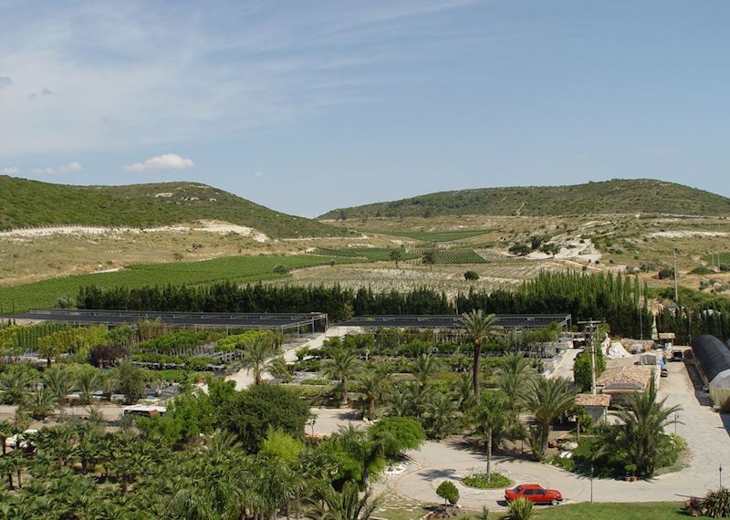 Wine tasting at Urla Vineyard, Alacati