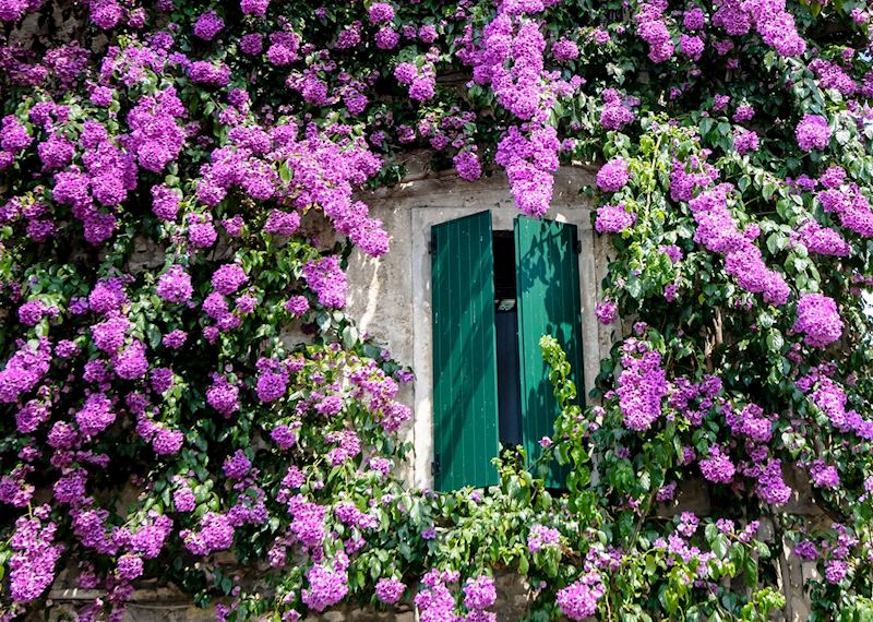 Flowers in the old town, Sirmione