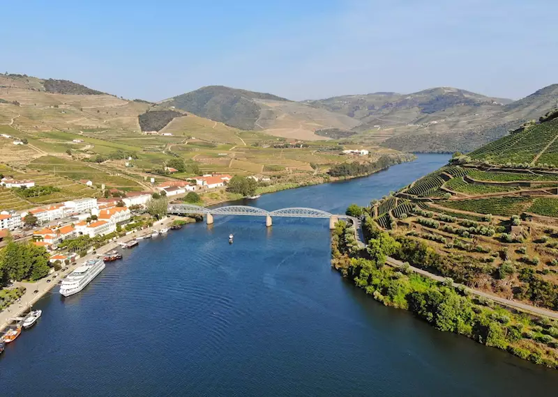 Douro river cruise: port tasting & palaces