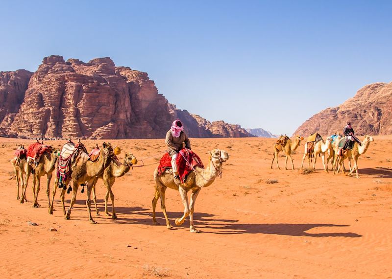 Camel caravan in Wadi Rum