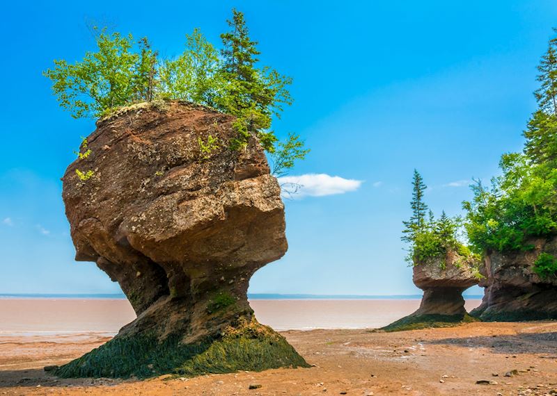 Hopewell Rocks