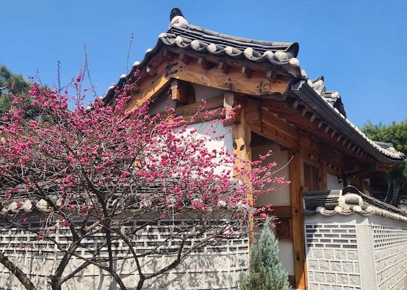 Bukchon Hanok Village