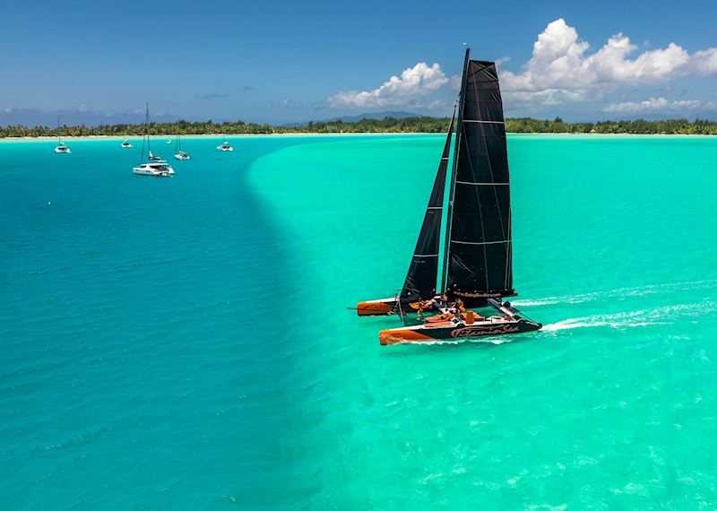 Morning Sailing Cruise by Catamaran (Vitamin Sea) : Sailing Cruise by Catamaran - Quote, Bora Bora