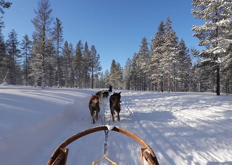 Husky sledding, Rovaniemi, Finnish Lapland
