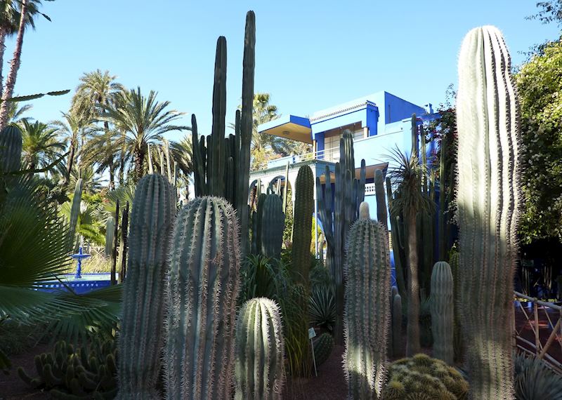 Majorelle Gardens, Marrakesh