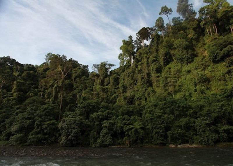 Bukit Lawang National Park, Indonesia