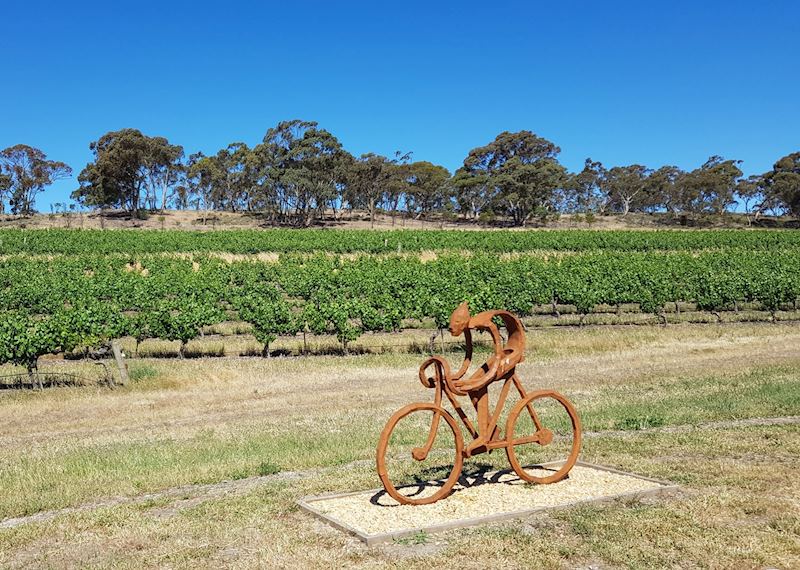 On the Reisling Trail, Clare Valley