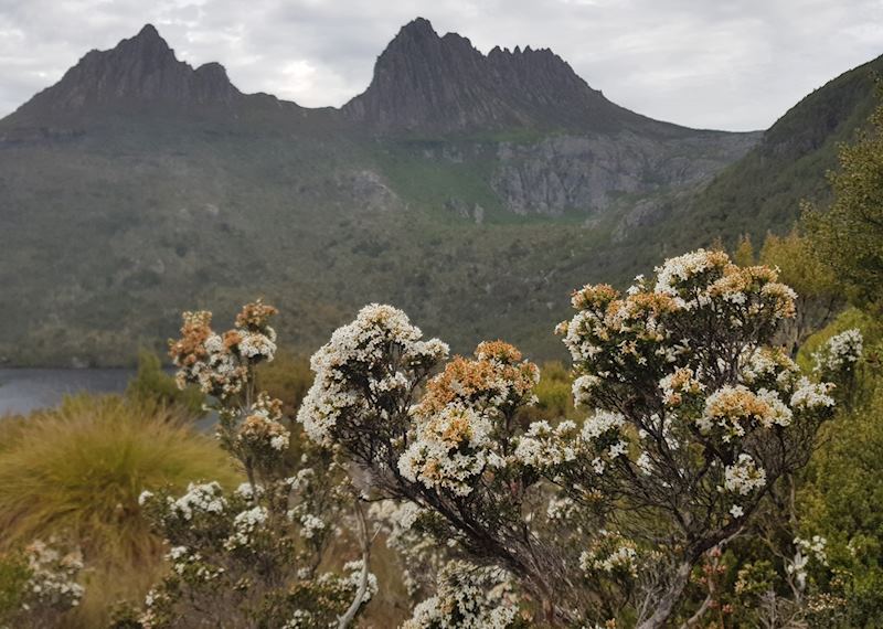 Dove Lake Circuit Walk, Cradle Mountain