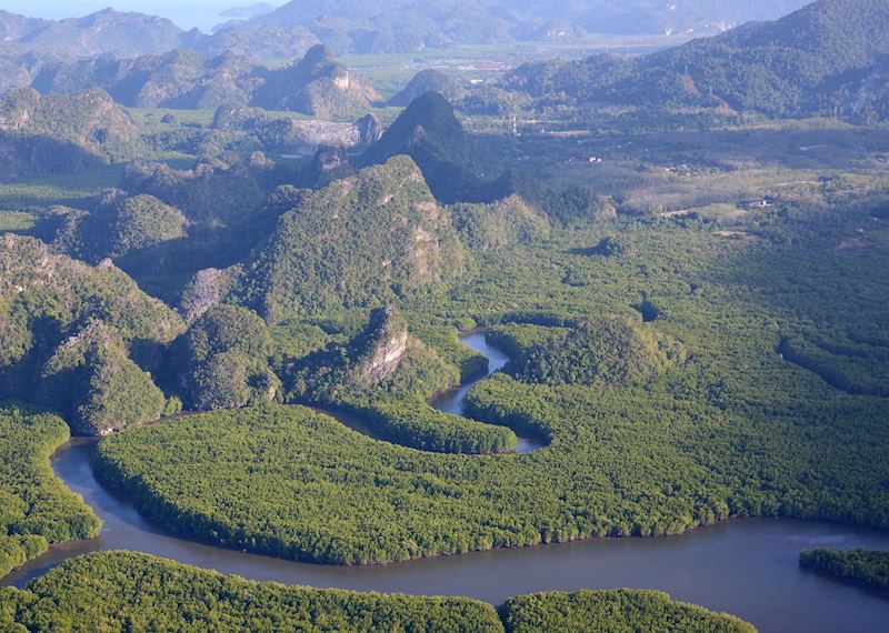 Mangroves of Langkawi from above