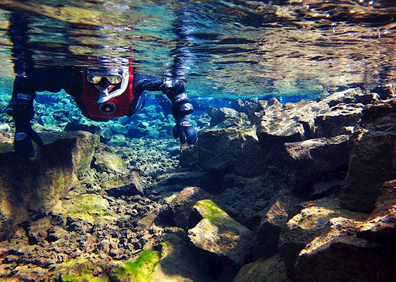 Snorkel at Silfra in Þingvellir National Park, Þingvellir National Park