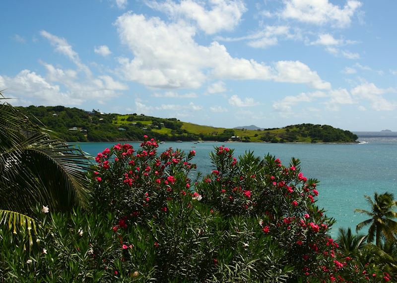 Friendship Bay