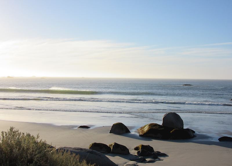 The Beach, Paternoster 