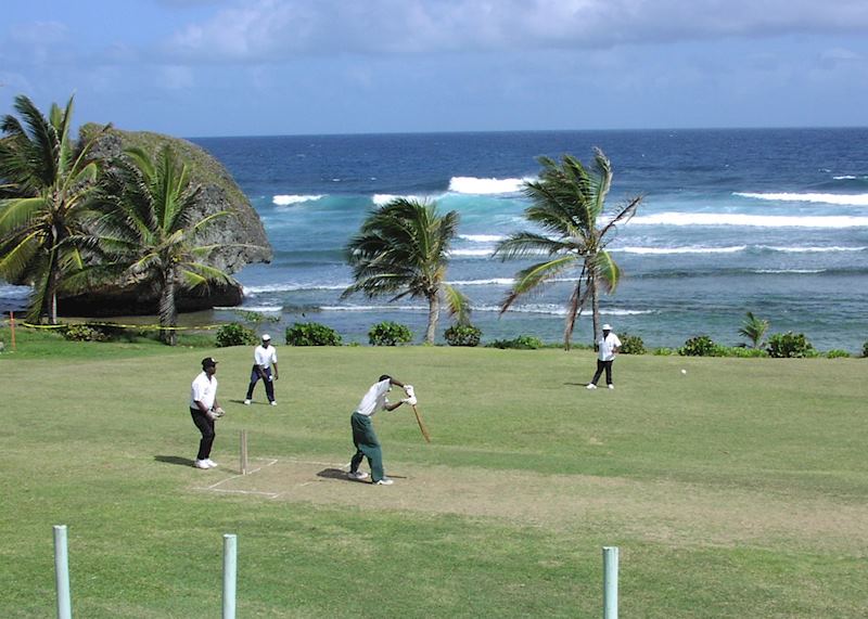 Cricket by the sea, Bathsheba, Barbados