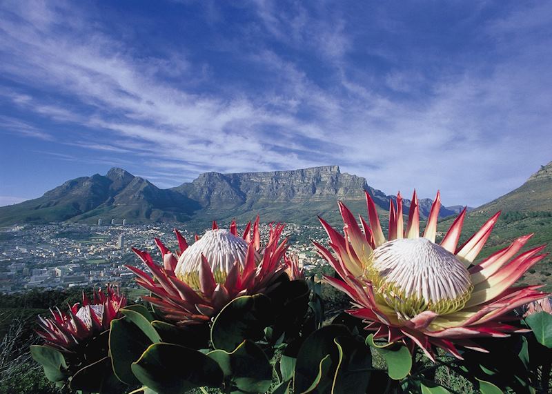 Table Mountain, South Africa