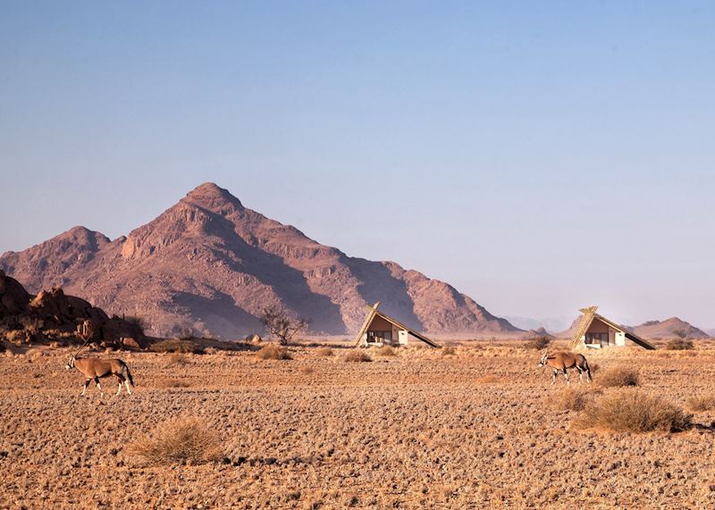 Oryx at Desert Quiver Camp