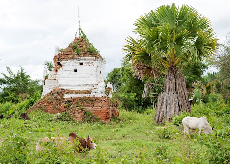 Dilapidated temples at Sagar, Inle Lake