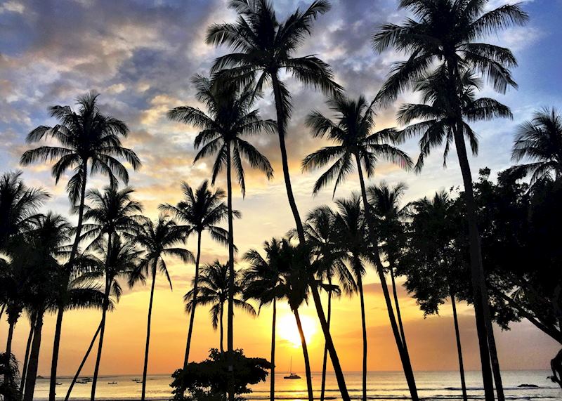 Tamarindo