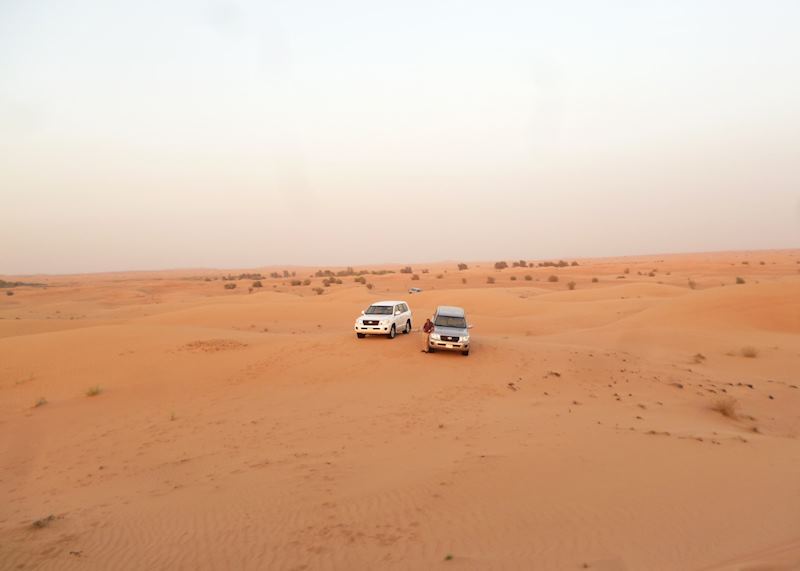 Dune Safari, Dubai