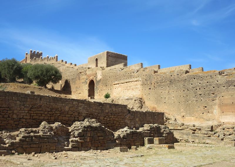 Ruins of Chellah in Rabat