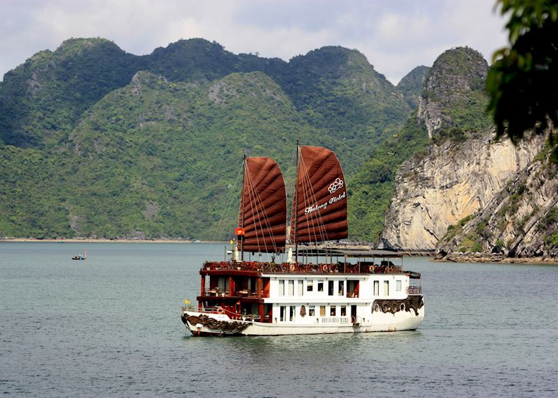 Halong Violet