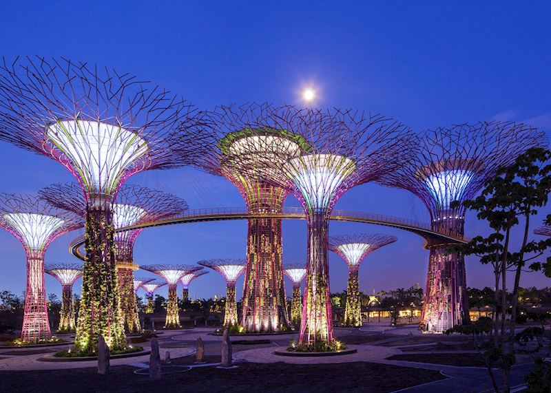 OCBC Skyway & Supertrees - Night View