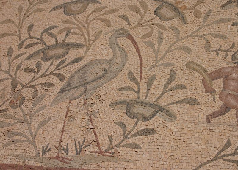 Mosaic, Villa Silleen, Leptis Magna
