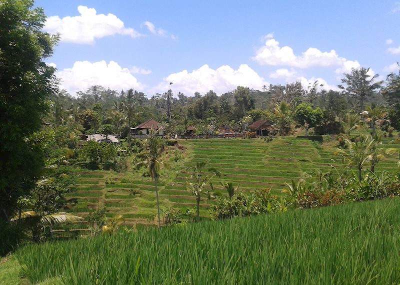 Jatiluwih Ubud