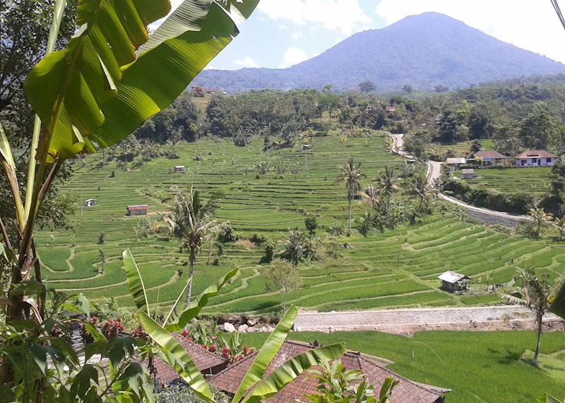 Jatiluwih Ubud