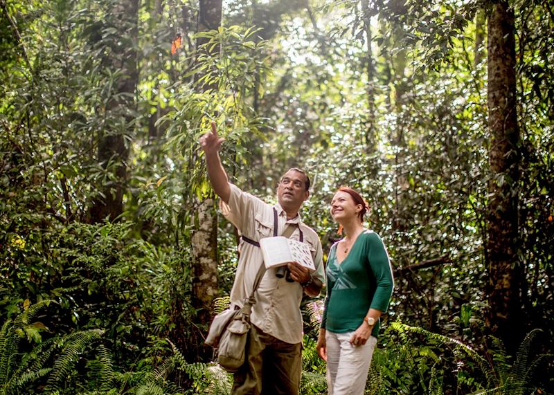 Nature Walk, The Datai , Langkawi
