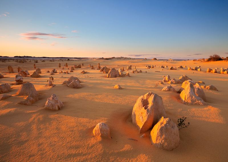 Nambung National Park & Cervantes, Australia