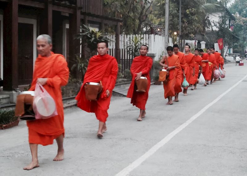 Early morning Alms Giving ceremony in Luang Prabang, Luang Prabang